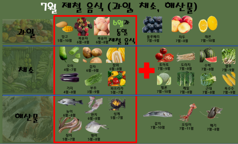 7월 제철 음식 (과일, 채소, 해산물)