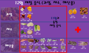 12월 제철 음식 (과일, 채소, 해산물)
