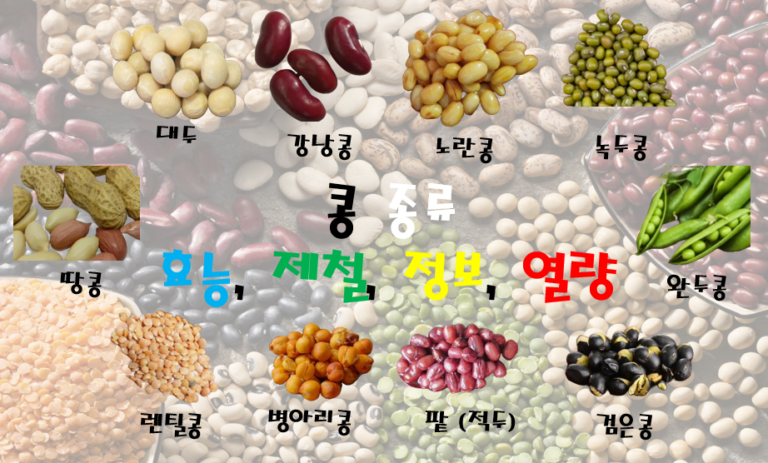 콩 종류 10가지(효능, 제철, 정보, 열량)