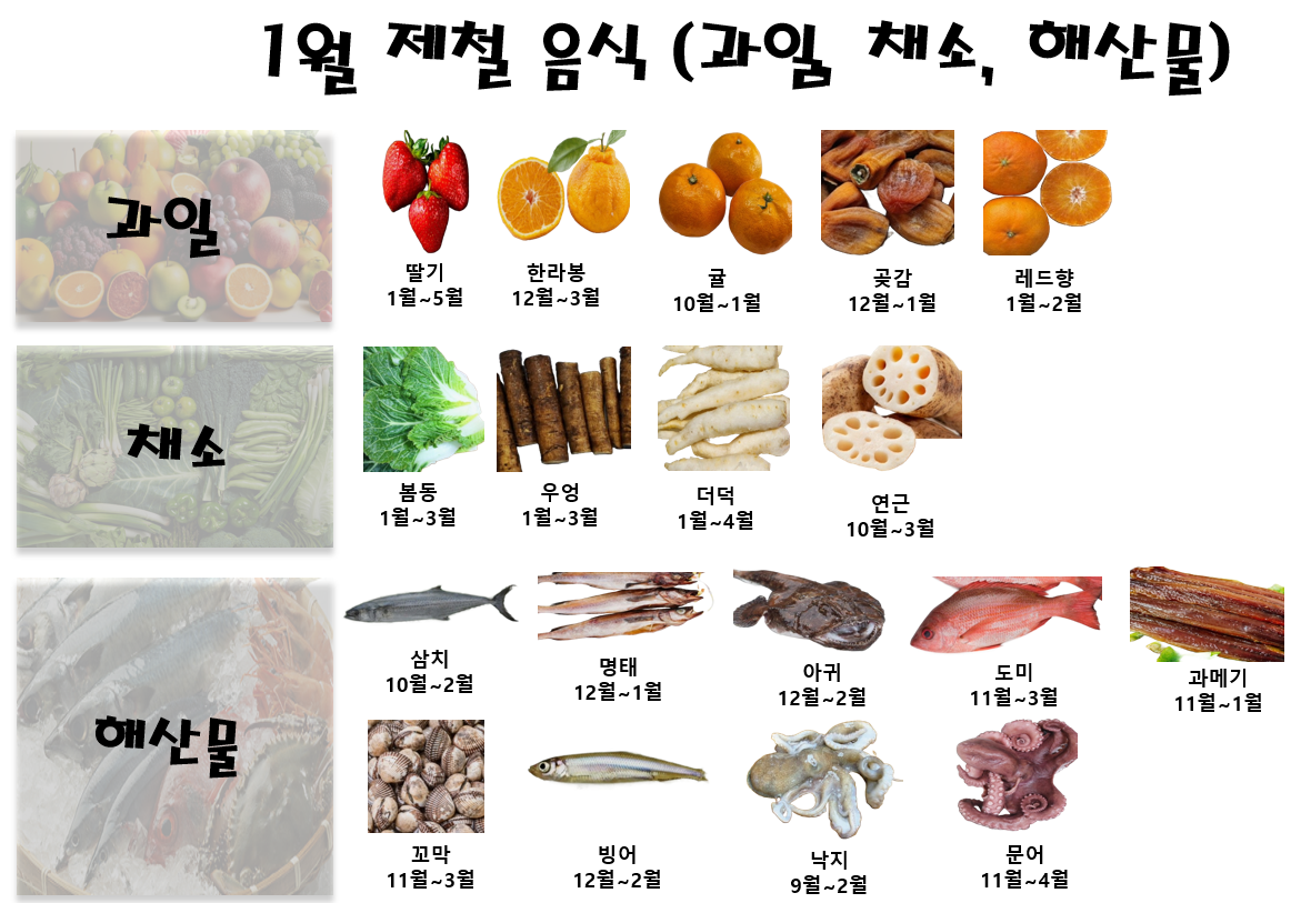 1월 제철 음식 (과일, 채소, 해산물)