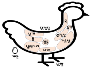 닭고기 종류 및 부위별 정보 (열량, 영양소, 위치, 효능)