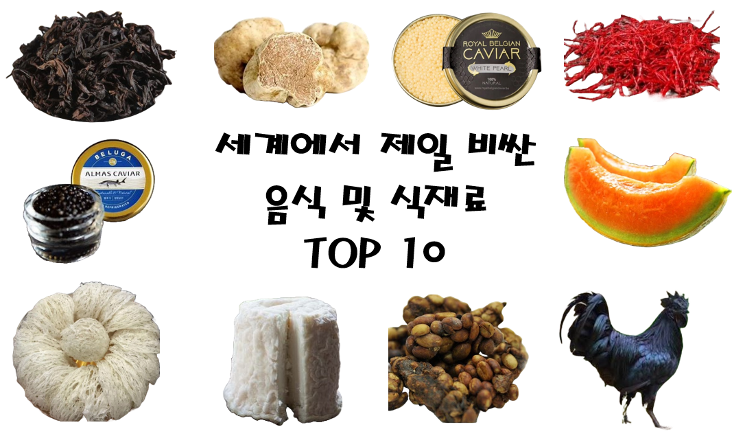 세계에서 제일 비싼 음식 및 식재료 TOP 10 (24년도 G, KG 순)